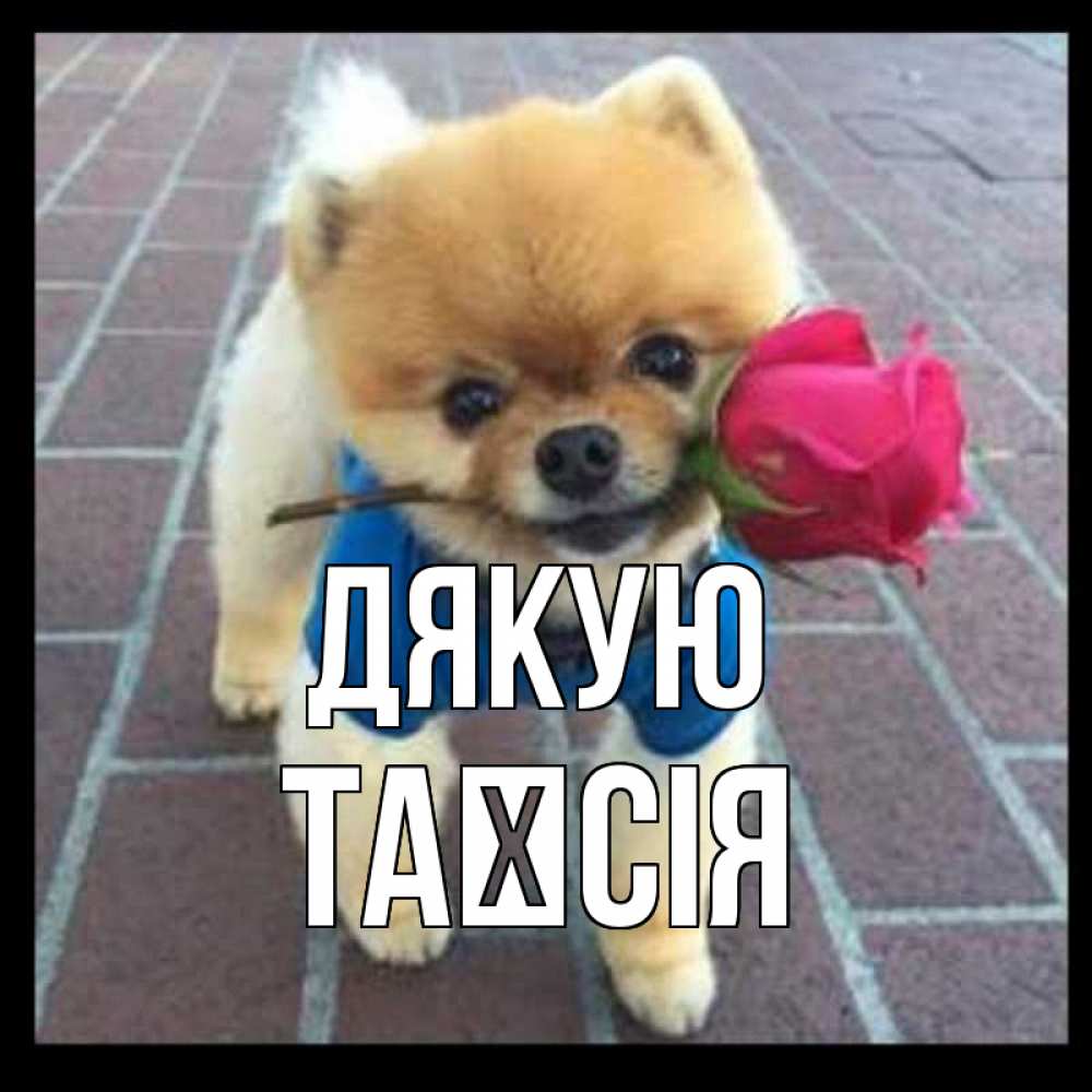 Открытка на каждый день з підписом, Таїсія Дякую спасибо и дарю тебе цветок Прикольна листівка з побажанням онлайн скачати безкоштовно 