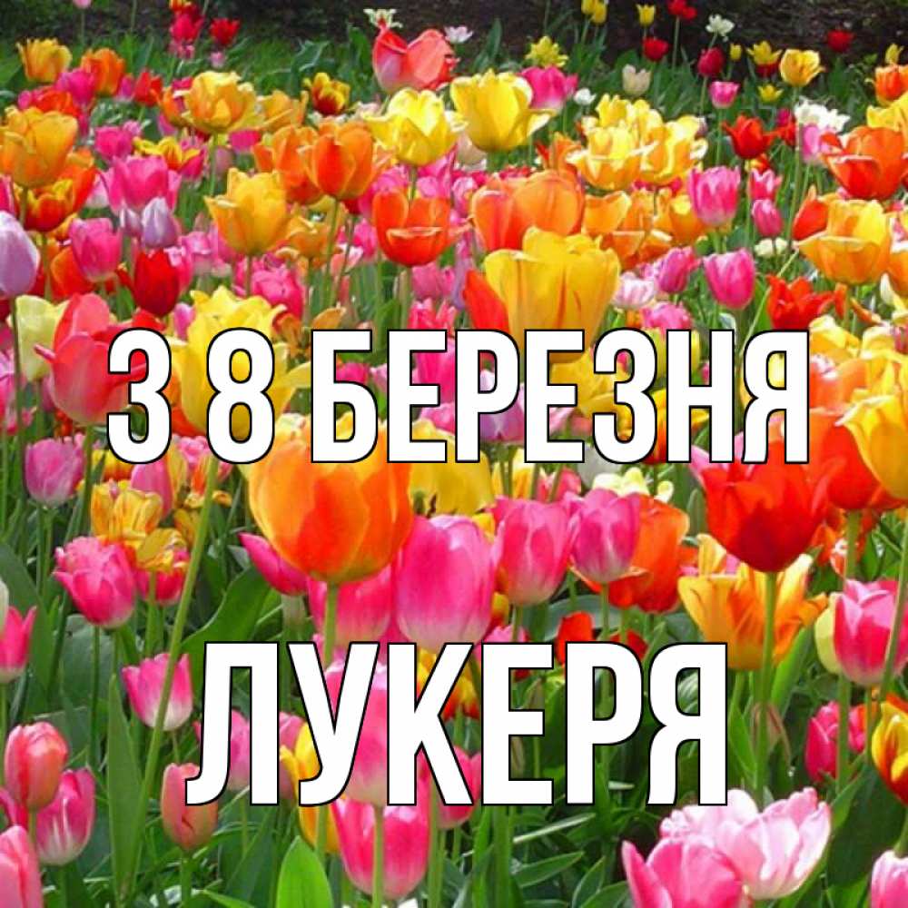 Открытка на каждый день з підписом, Лукеря З 8 БЕРЕЗНЯ на международный женский день Прикольна листівка з побажанням онлайн скачати безкоштовно 