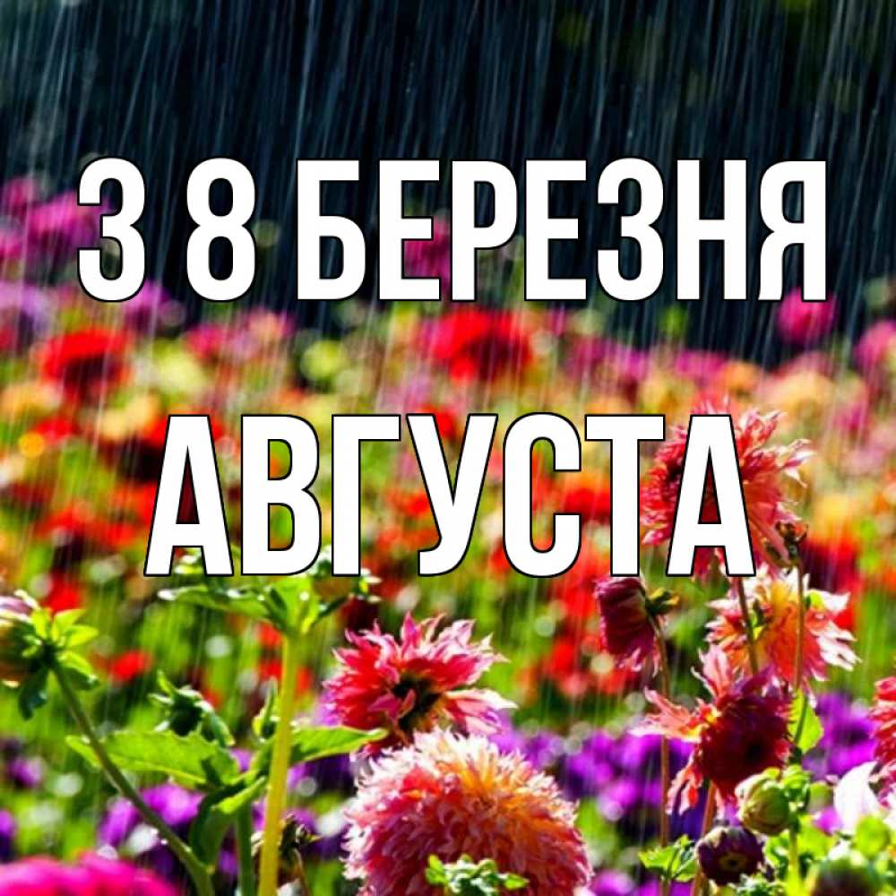 Открытка на каждый день з підписом, Августа З 8 БЕРЕЗНЯ цветы под дождиком к международному женскому дню Прикольна листівка з побажанням онлайн скачати безкоштовно 
