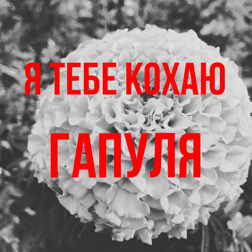 Открытка на каждый день з підписом, Гапуля Я тебе кохаю подпись Прикольна листівка з побажанням онлайн скачати безкоштовно 