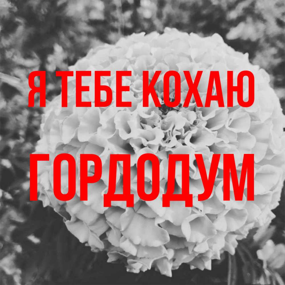 Открытка на каждый день з підписом, Гордодум Я тебе кохаю подпись Прикольна листівка з побажанням онлайн скачати безкоштовно 