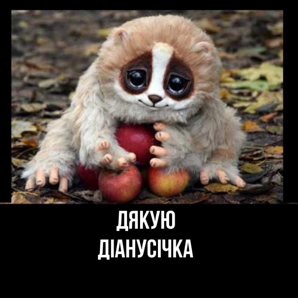 Открытка на каждый день з підписом, Діанусічка Дякую прикольное животное Прикольна листівка з побажанням онлайн скачати безкоштовно 
