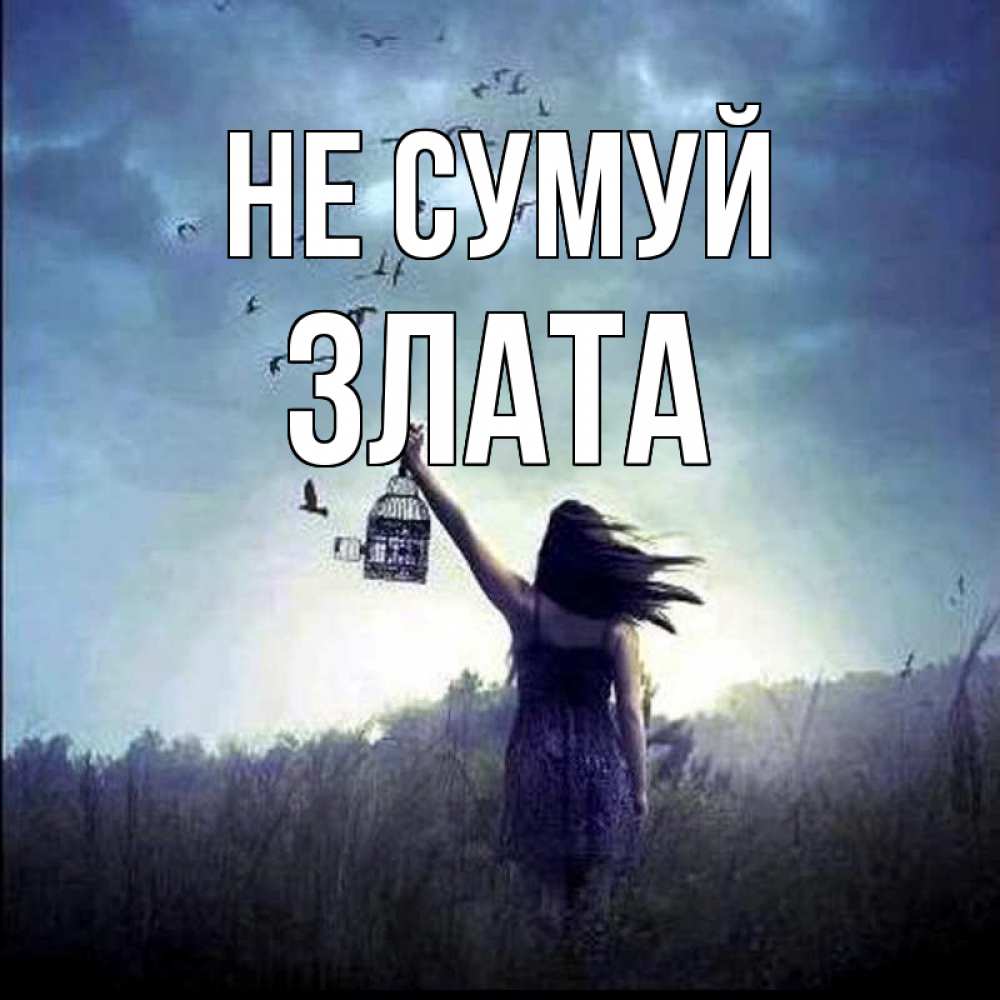 Открытка на каждый день з підписом, Злата Не сумуй на волю Прикольна листівка з побажанням онлайн скачати безкоштовно 