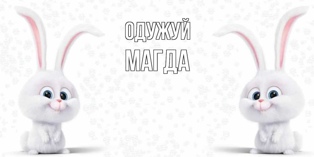 Открытка на каждый день з підписом, Магда Одужуй не болей с зайцем Прикольна листівка з побажанням онлайн скачати безкоштовно 