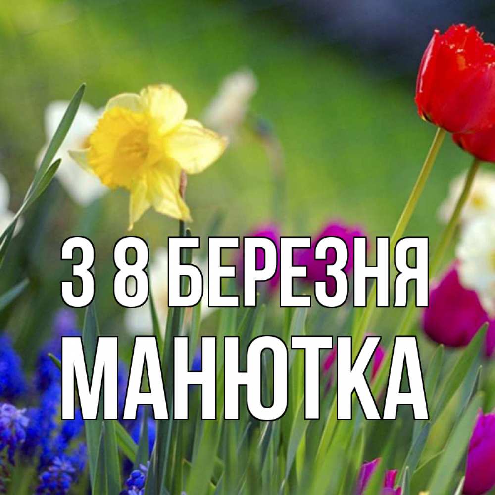 Открытка на каждый день з підписом, Манютка З 8 БЕРЕЗНЯ международный женский день 3 Прикольна листівка з побажанням онлайн скачати безкоштовно 