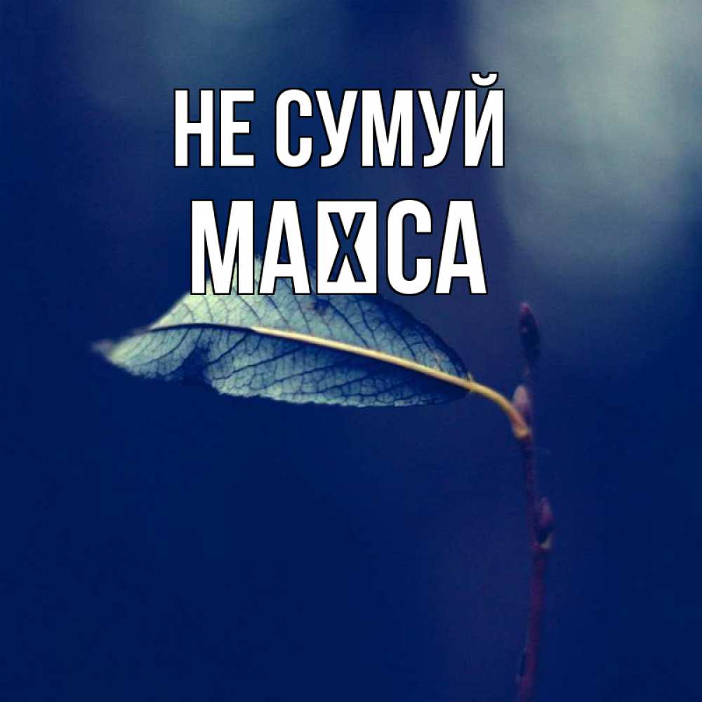 Открытка на каждый день з підписом, Маїса Не сумуй растение Прикольна листівка з побажанням онлайн скачати безкоштовно 