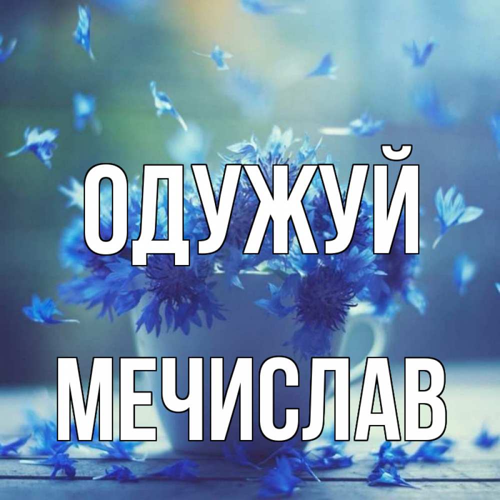 Открытка на каждый день з підписом, Мечислав Одужуй кружка с зельем и цветами Прикольна листівка з побажанням онлайн скачати безкоштовно 