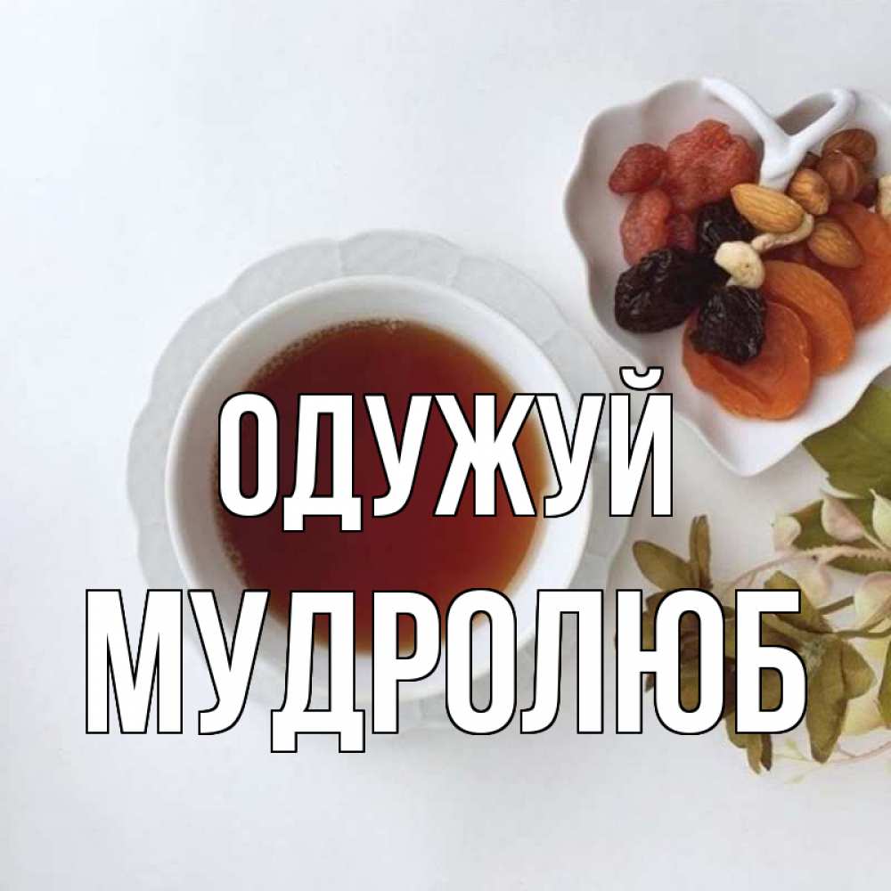 Открытка на каждый день з підписом, Мудролюб Одужуй неизвестные растения Прикольна листівка з побажанням онлайн скачати безкоштовно 
