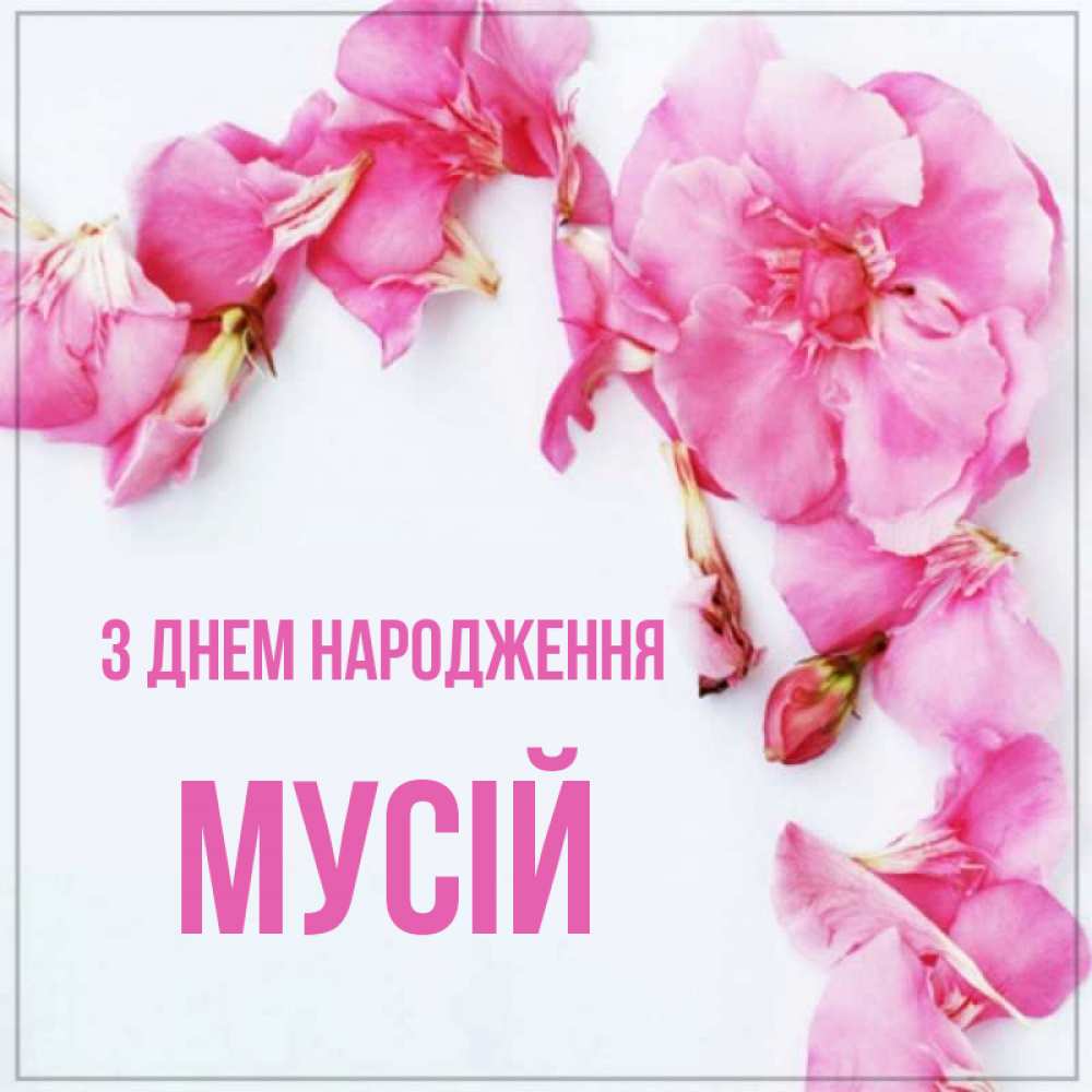 Открытка на каждый день з підписом, Мусій З Днем народження Красивая открытка для поздравления с днем рождения Прикольна листівка з побажанням онлайн скачати безкоштовно 