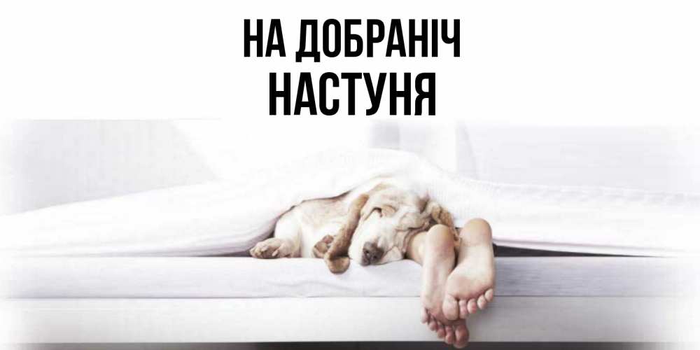 Открытка на каждый день з підписом, Настуня На добраніч кровать с собакой пожелание сладких снов и спокойной ночи Прикольна листівка з побажанням онлайн скачати безкоштовно 