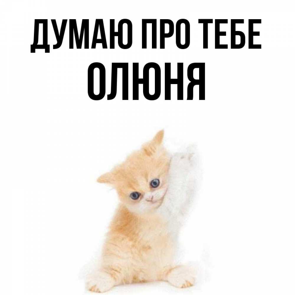 Открытка на каждый день з підписом, Олюня Думаю про тебе зверушки и милота Прикольна листівка з побажанням онлайн скачати безкоштовно 