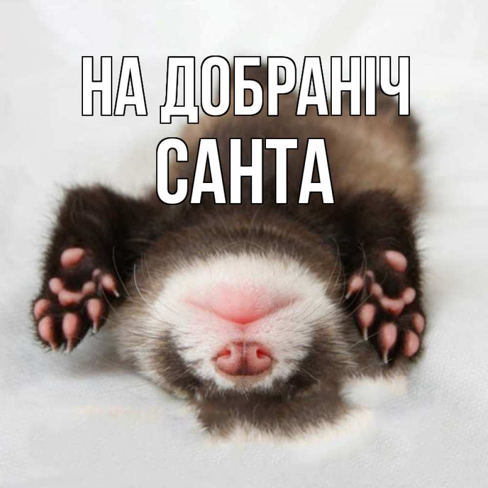 Открытка на каждый день з підписом, Санта На добраніч зверек Прикольна листівка з побажанням онлайн скачати безкоштовно 