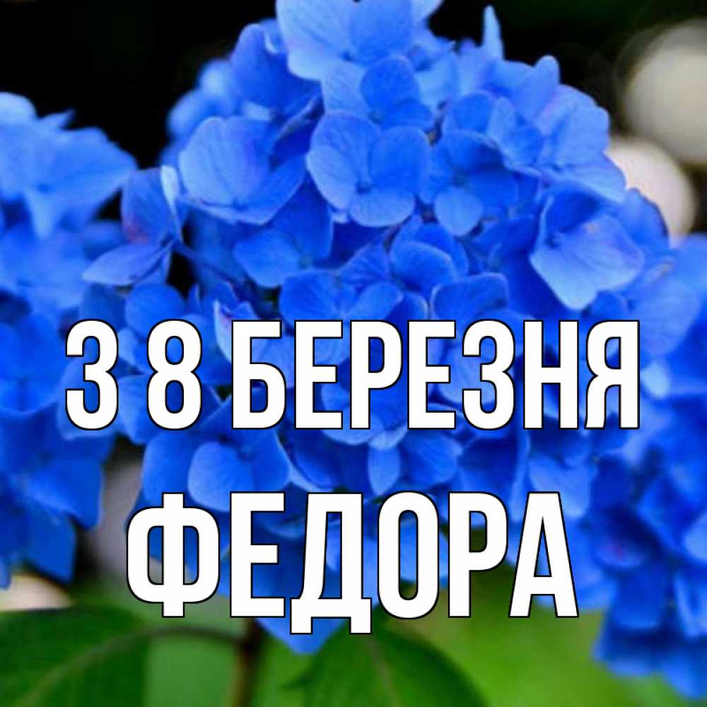 Открытка на каждый день з підписом, Федора З 8 БЕРЕЗНЯ синие цветы Прикольна листівка з побажанням онлайн скачати безкоштовно 