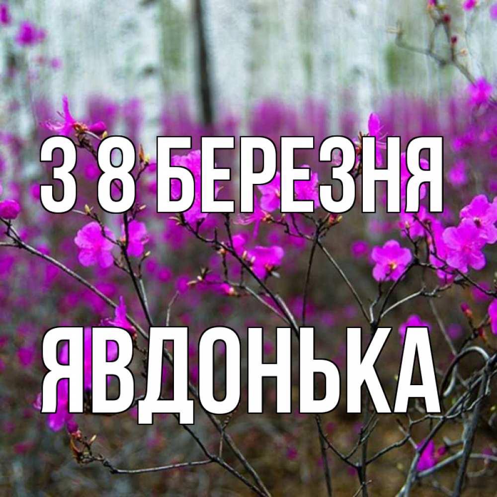 Открытка на каждый день з підписом, Явдонька З 8 БЕРЕЗНЯ дикие цветы Прикольна листівка з побажанням онлайн скачати безкоштовно 