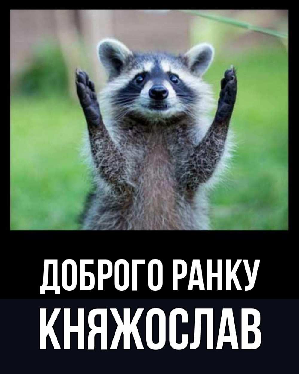 Открытка на каждый день з підписом, Княжослав Доброго ранку хорошее настроение утречком Прикольна листівка з побажанням онлайн скачати безкоштовно 