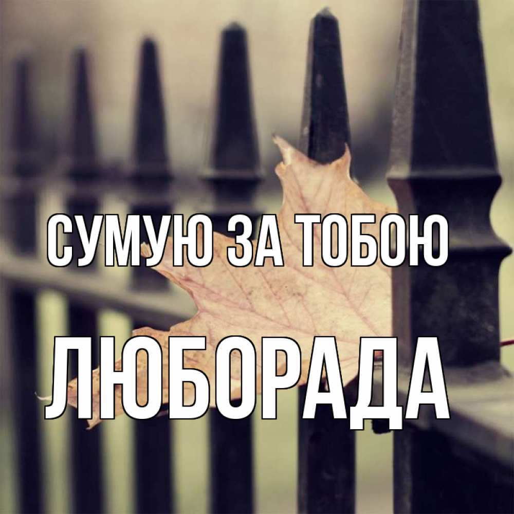 Открытка на каждый день з підписом, Люборада Сумую за тобою очень скучно Прикольна листівка з побажанням онлайн скачати безкоштовно 