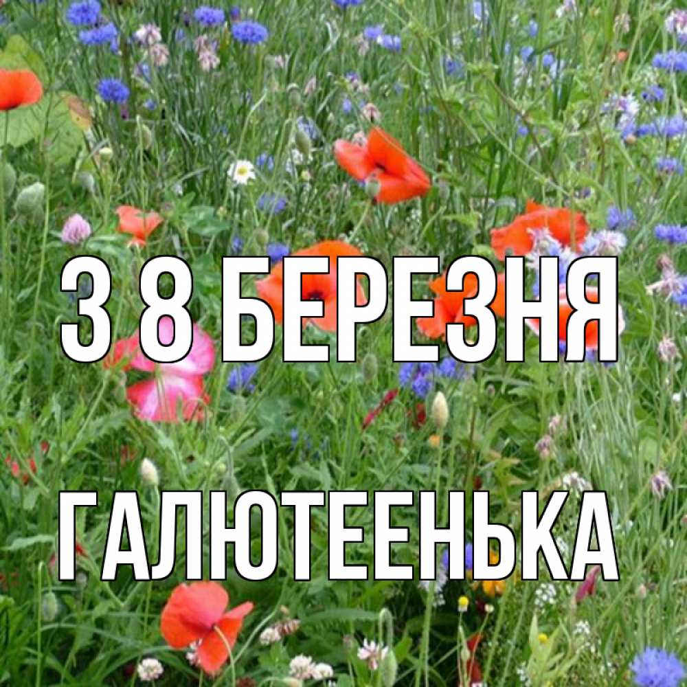 Открытка на каждый день з підписом, Галютеенька З 8 БЕРЕЗНЯ международный женский день 4 Прикольна листівка з побажанням онлайн скачати безкоштовно 