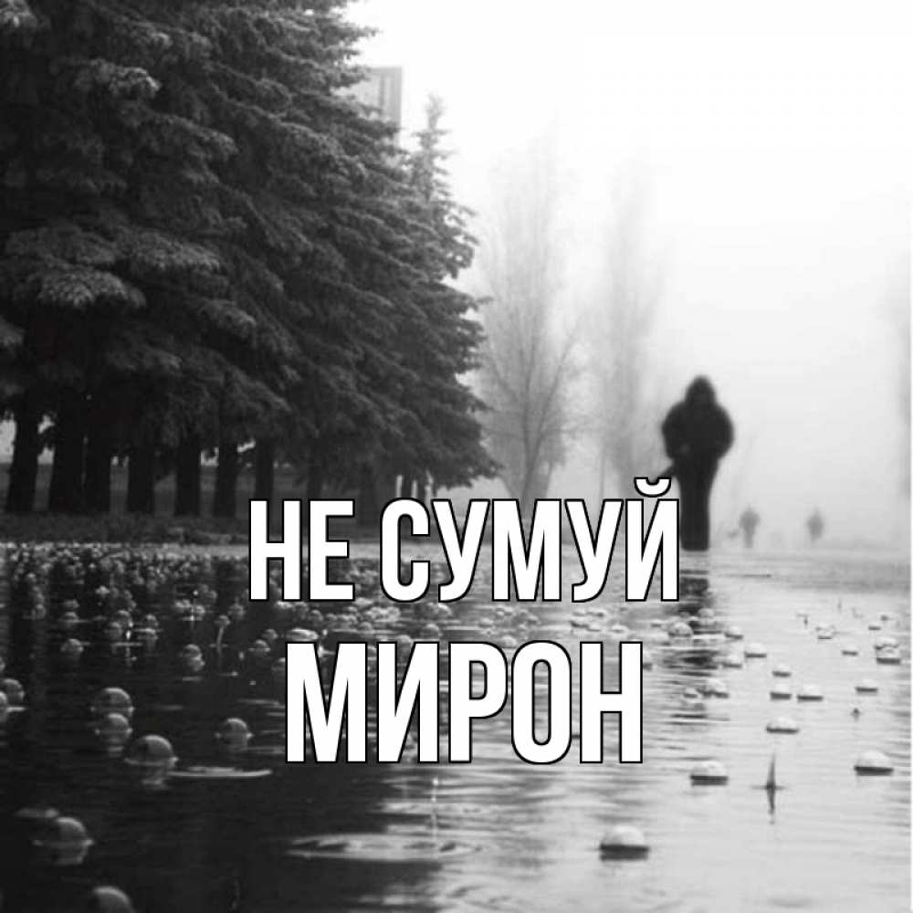 Открытка на каждый день з підписом, Мирон Не сумуй улица под дождем Прикольна листівка з побажанням онлайн скачати безкоштовно 