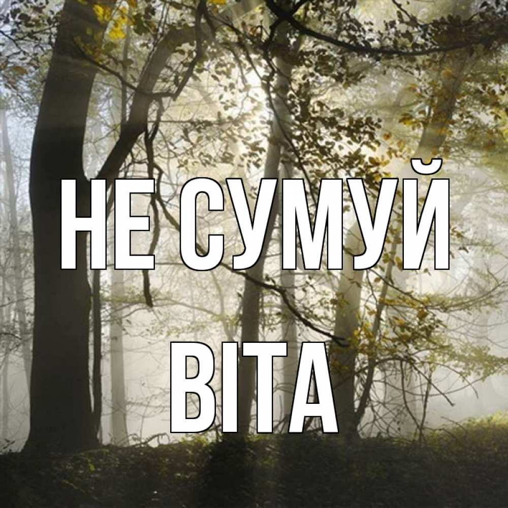 Открытка на каждый день з підписом, Віта Не сумуй лес и свет Прикольна листівка з побажанням онлайн скачати безкоштовно 