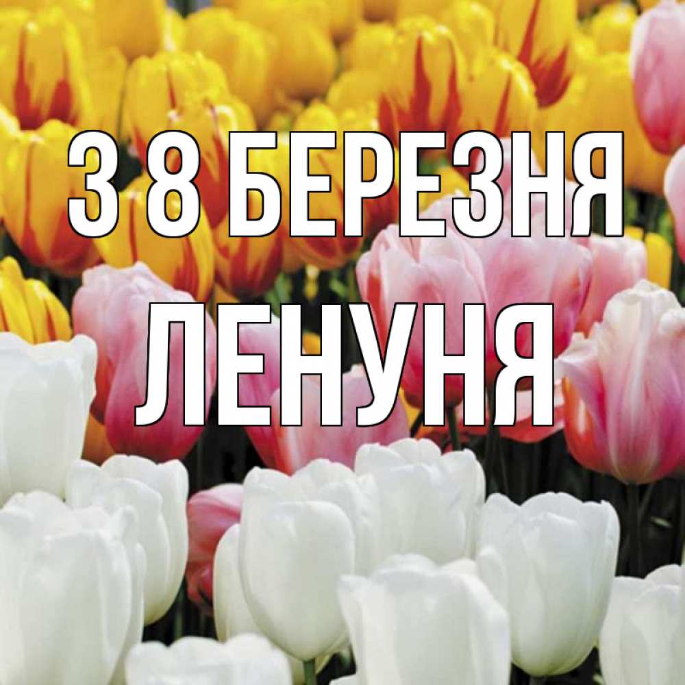 Открытка на каждый день з підписом, Ленуня З 8 БЕРЕЗНЯ разноцветные цветы Прикольна листівка з побажанням онлайн скачати безкоштовно 