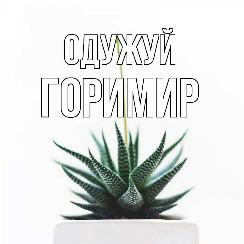 Открытка на каждый день з підписом, Горимир Одужуй короче это непонятная колючка Прикольна листівка з побажанням онлайн скачати безкоштовно 