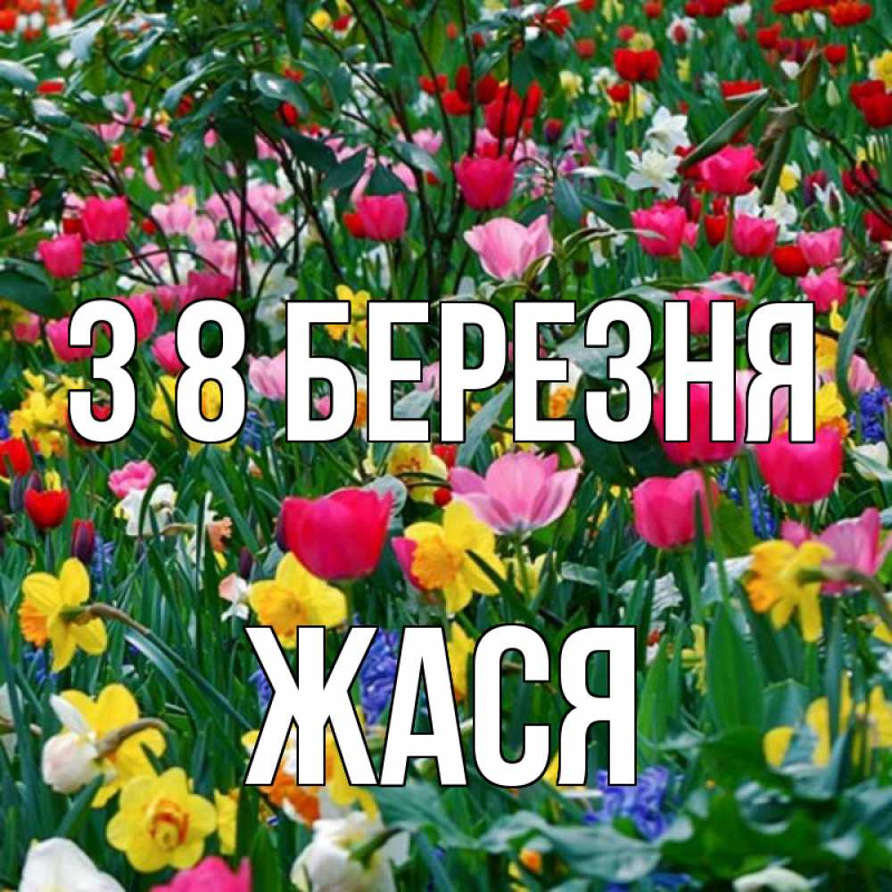 Открытка на каждый день з підписом, Жася З 8 БЕРЕЗНЯ с международным женским днем поздравления для женщины Прикольна листівка з побажанням онлайн скачати безкоштовно 