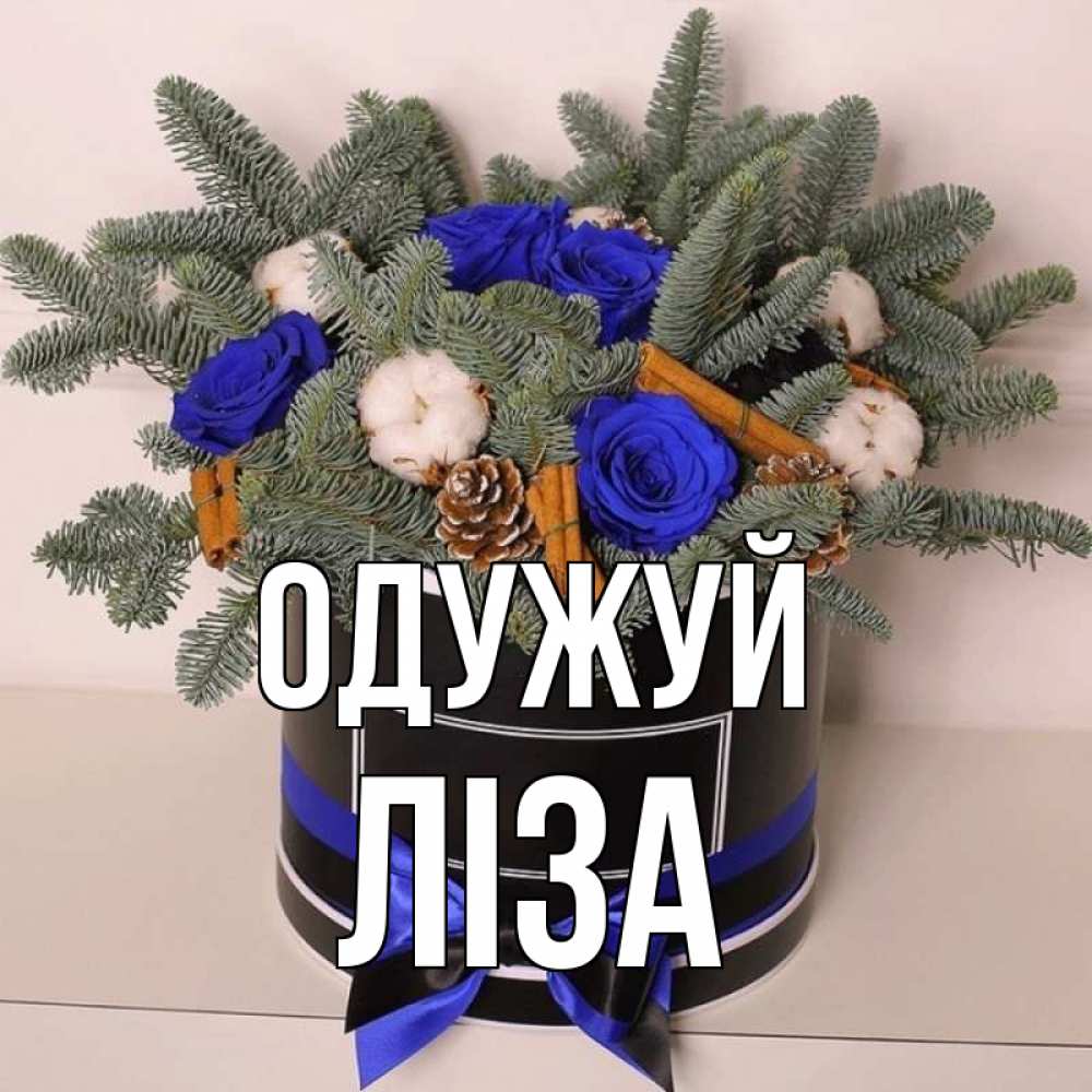 Открытка на каждый день з підписом, Ліза Одужуй короче кто то загрузил эти шишки Прикольна листівка з побажанням онлайн скачати безкоштовно 