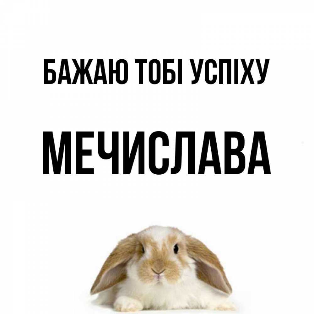 Открытка на каждый день з підписом, Мечислава Бажаю тобі успіху открытки с произвольным текстом который можно вставить в открытку и создать ее самостоятельно бесплатно онлайн Прикольна листівка з побажанням онлайн скачати безкоштовно 