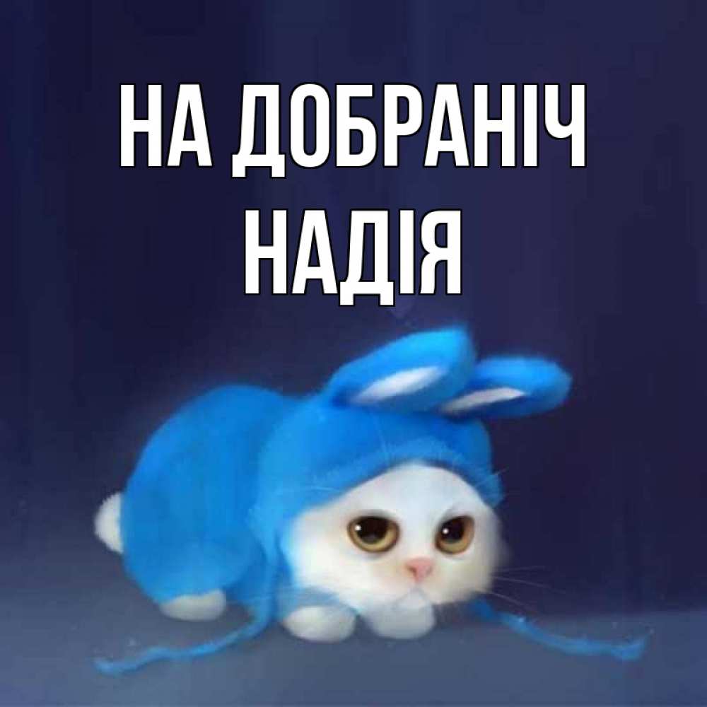 Открытка на каждый день з підписом, Надія На добраніч кот в голубом костюме кролика с ушками Прикольна листівка з побажанням онлайн скачати безкоштовно 