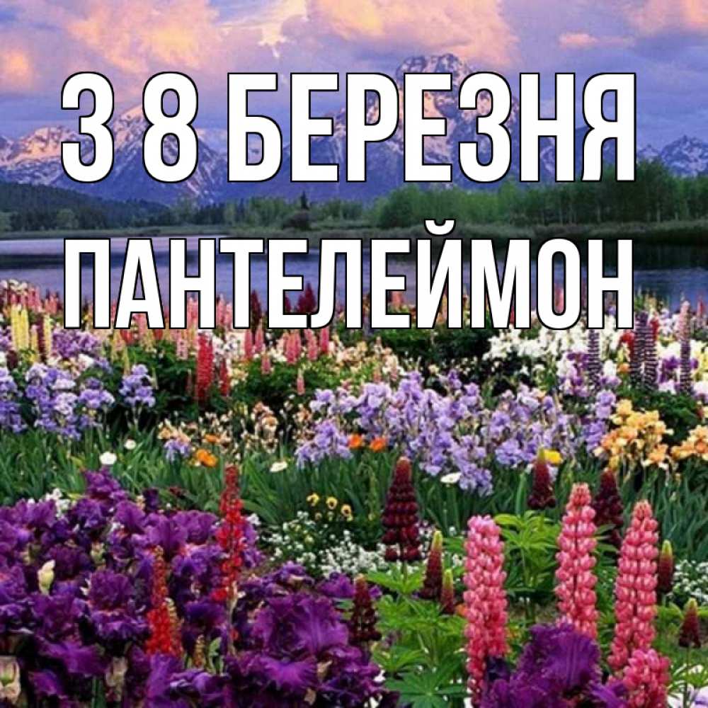 Открытка на каждый день з підписом, Пантелеймон З 8 БЕРЕЗНЯ международный женский день Прикольна листівка з побажанням онлайн скачати безкоштовно 