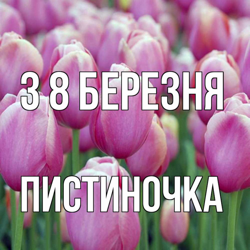 Открытка на каждый день з підписом, Пистиночка З 8 БЕРЕЗНЯ на международный женский день 3 Прикольна листівка з побажанням онлайн скачати безкоштовно 