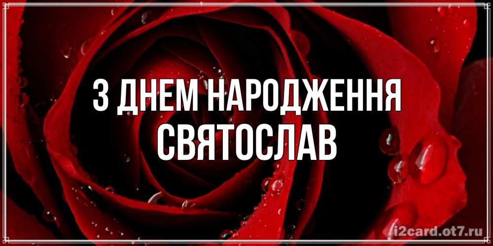 Открытка на каждый день з підписом, Святослав З Днем народження крупная бордовая роза Прикольна листівка з побажанням онлайн скачати безкоштовно 