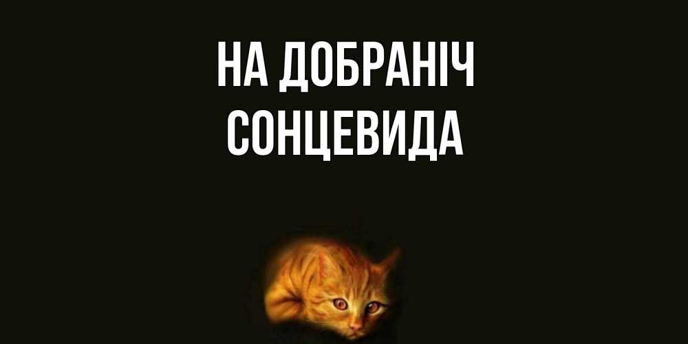 Открытка на каждый день з підписом, Сонцевида На добраніч кот Прикольна листівка з побажанням онлайн скачати безкоштовно 