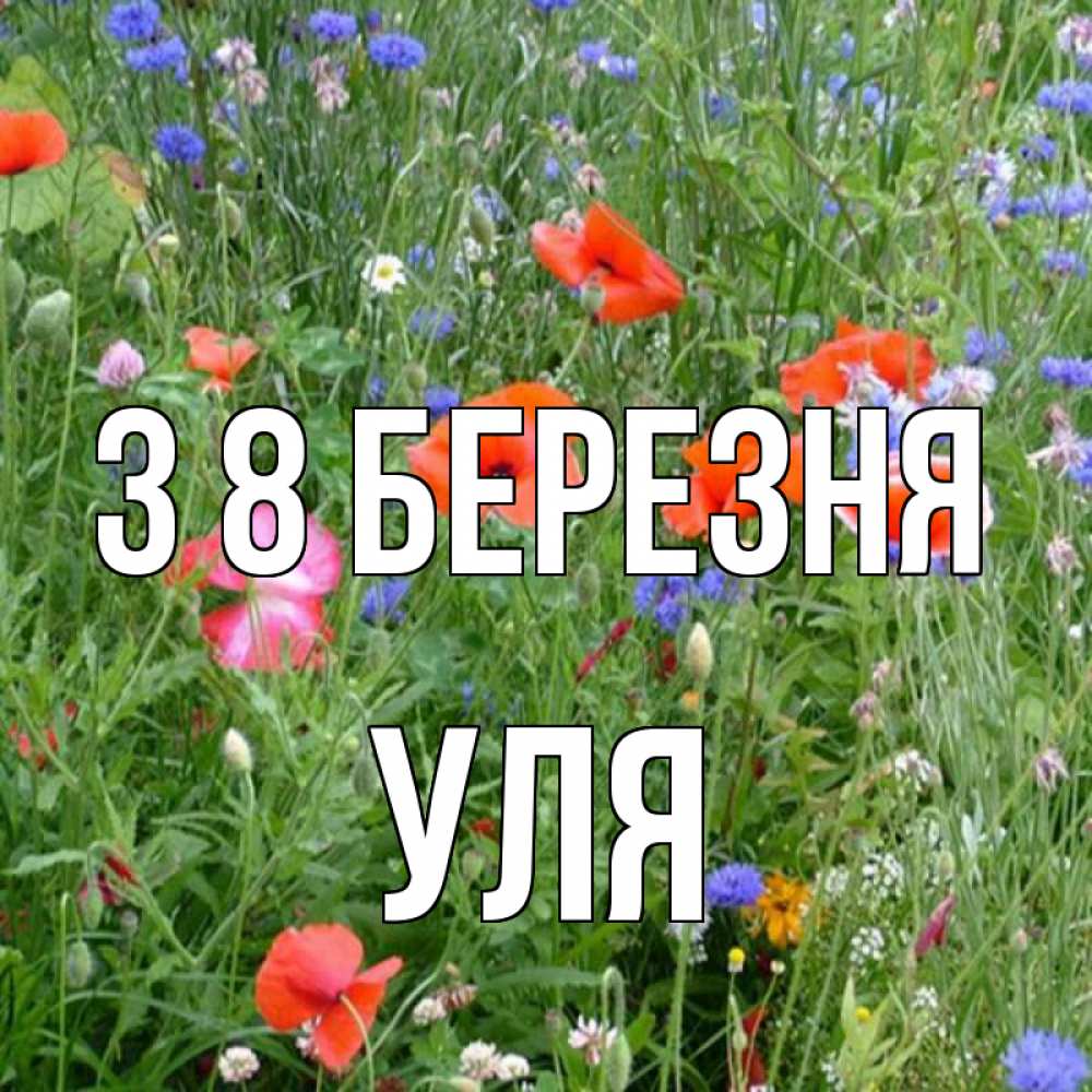 Открытка на каждый день з підписом, Уля З 8 БЕРЕЗНЯ международный женский день 4 Прикольна листівка з побажанням онлайн скачати безкоштовно 