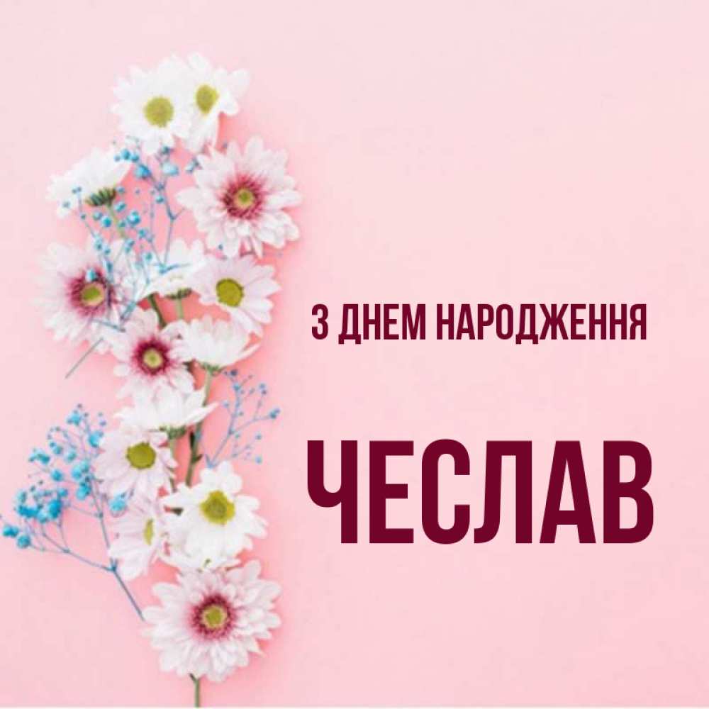 Открытка на каждый день з підписом, Чеслав З Днем народження Родная моя с днем рождения тебя картинка с цветами белыми и голубыми Прикольна листівка з побажанням онлайн скачати безкоштовно 