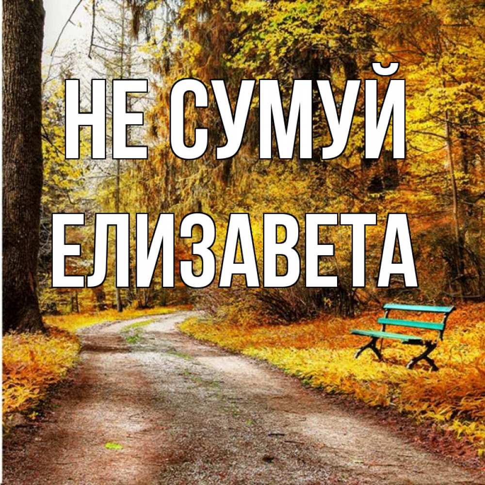 Открытка на каждый день з підписом, Елизавета Не сумуй зеленая лавочка Прикольна листівка з побажанням онлайн скачати безкоштовно 