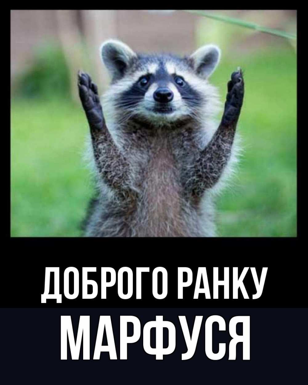 Открытка на каждый день з підписом, Марфуся Доброго ранку хорошее настроение утречком Прикольна листівка з побажанням онлайн скачати безкоштовно 