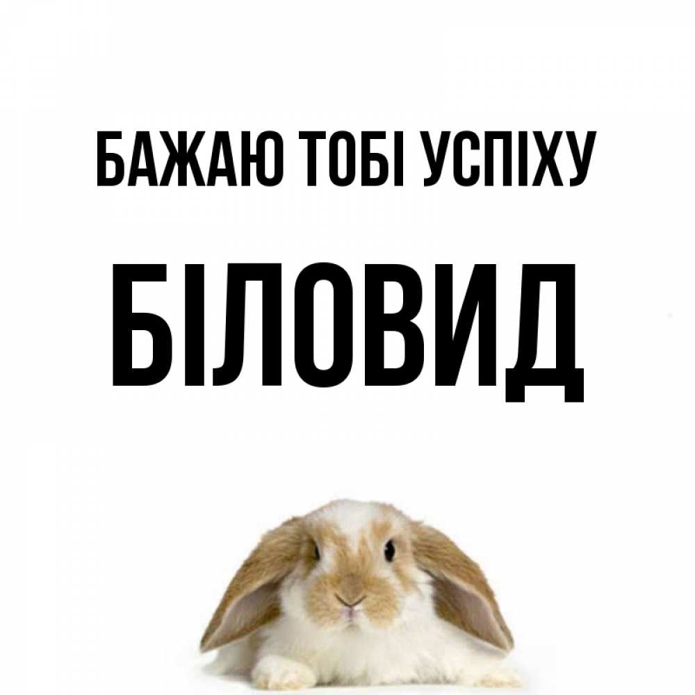 Открытка на каждый день з підписом, Біловид Бажаю тобі успіху открытки с произвольным текстом который можно вставить в открытку и создать ее самостоятельно бесплатно онлайн Прикольна листівка з побажанням онлайн скачати безкоштовно 