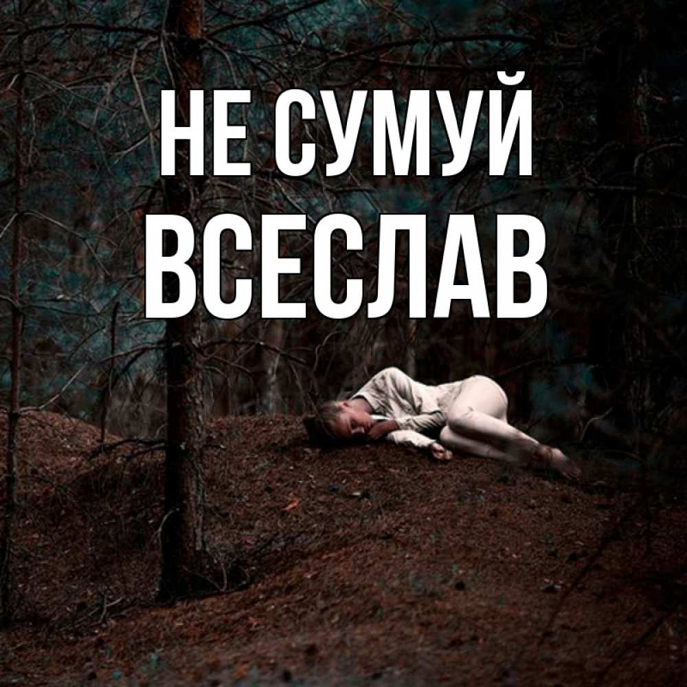 Открытка на каждый день з підписом, Всеслав Не сумуй лес Прикольна листівка з побажанням онлайн скачати безкоштовно 