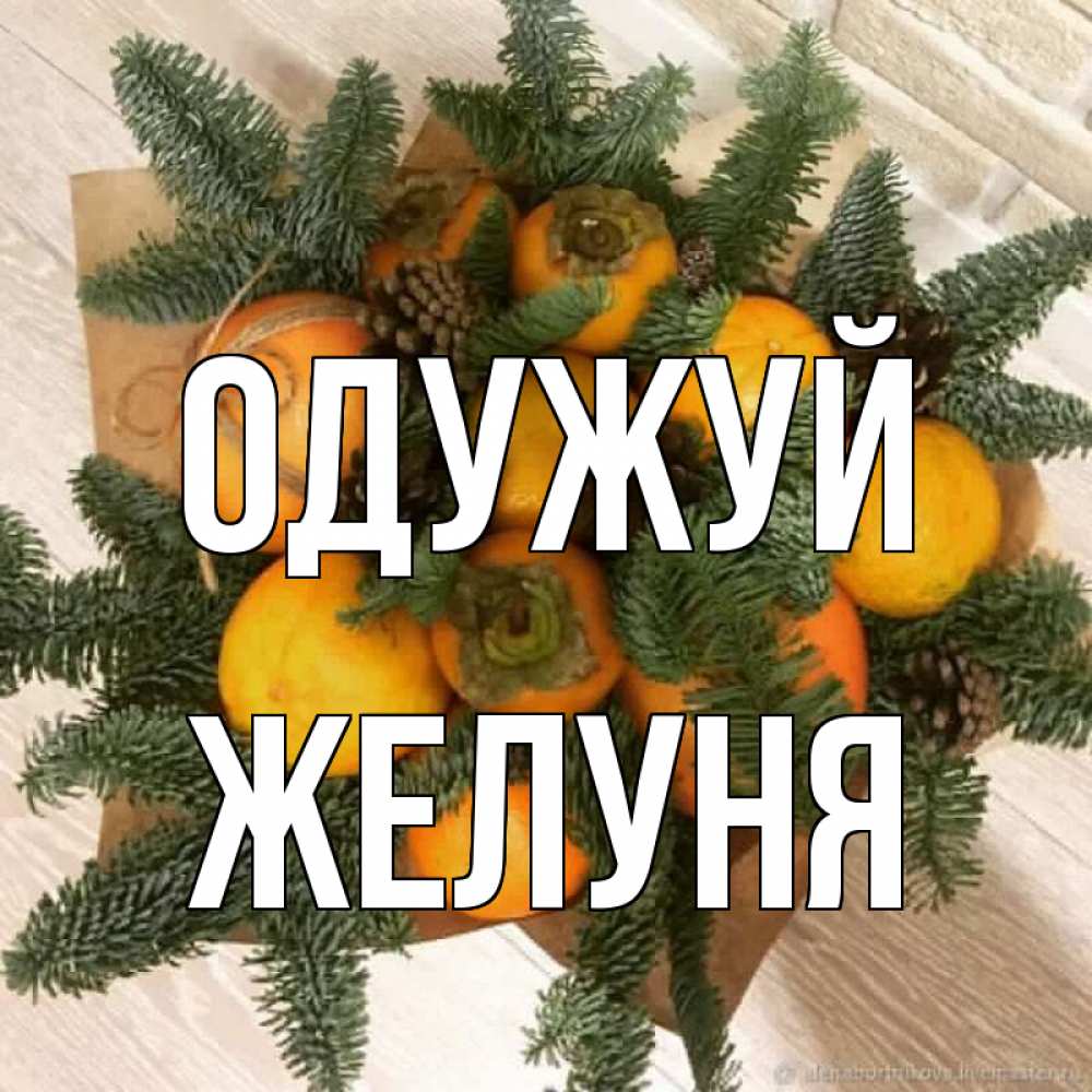 Открытка на каждый день з підписом, Желуня Одужуй апельсины и хурьма Прикольна листівка з побажанням онлайн скачати безкоштовно 