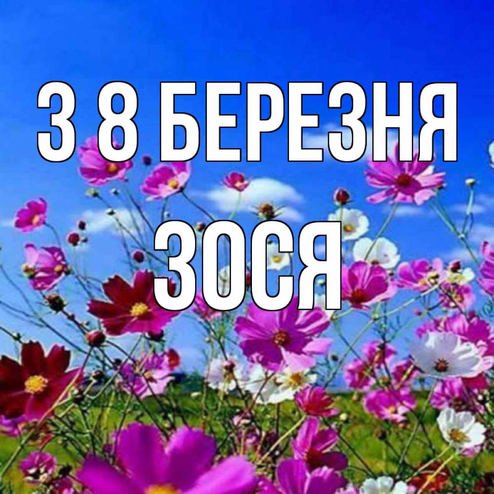 Открытка на каждый день з підписом, Зося З 8 БЕРЕЗНЯ цветы Прикольна листівка з побажанням онлайн скачати безкоштовно 
