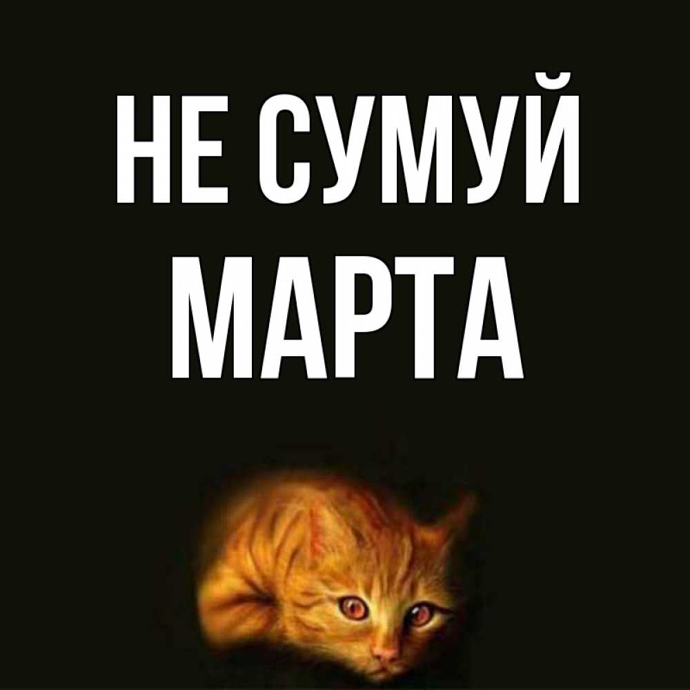 Открытка на каждый день з підписом, Марта Не сумуй лежащий кот в темноте Прикольна листівка з побажанням онлайн скачати безкоштовно 