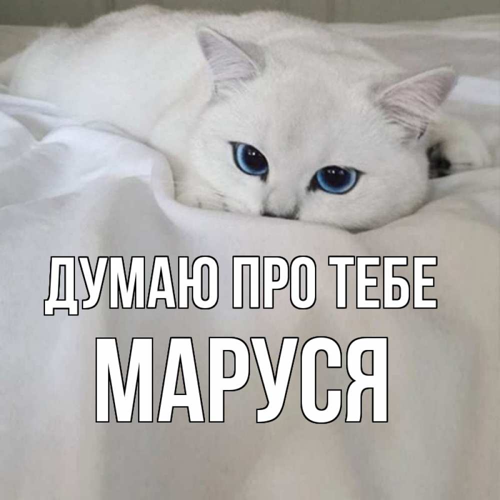 Открытка на каждый день з підписом, Маруся Думаю про тебе я очень по тебе скучаю и тоскую Прикольна листівка з побажанням онлайн скачати безкоштовно 