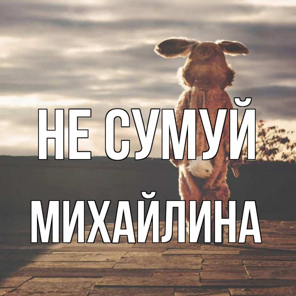 Открытка на каждый день з підписом, Михайлина Не сумуй со спины Прикольна листівка з побажанням онлайн скачати безкоштовно 