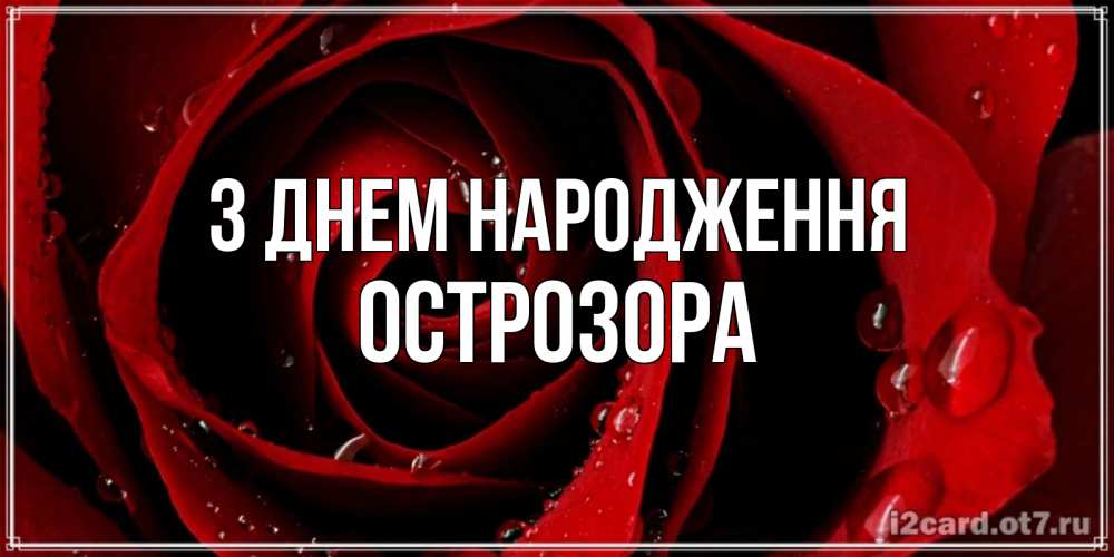 Открытка на каждый день з підписом, Острозора З Днем народження крупная бордовая роза Прикольна листівка з побажанням онлайн скачати безкоштовно 