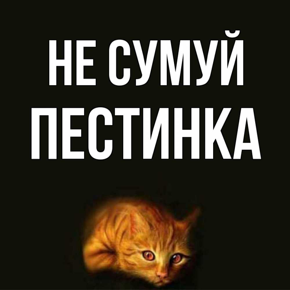 Открытка на каждый день з підписом, Пестинка Не сумуй лежащий кот в темноте Прикольна листівка з побажанням онлайн скачати безкоштовно 