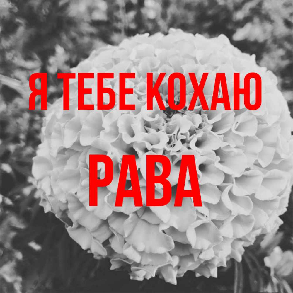 Открытка на каждый день з підписом, Рава Я тебе кохаю подпись Прикольна листівка з побажанням онлайн скачати безкоштовно 