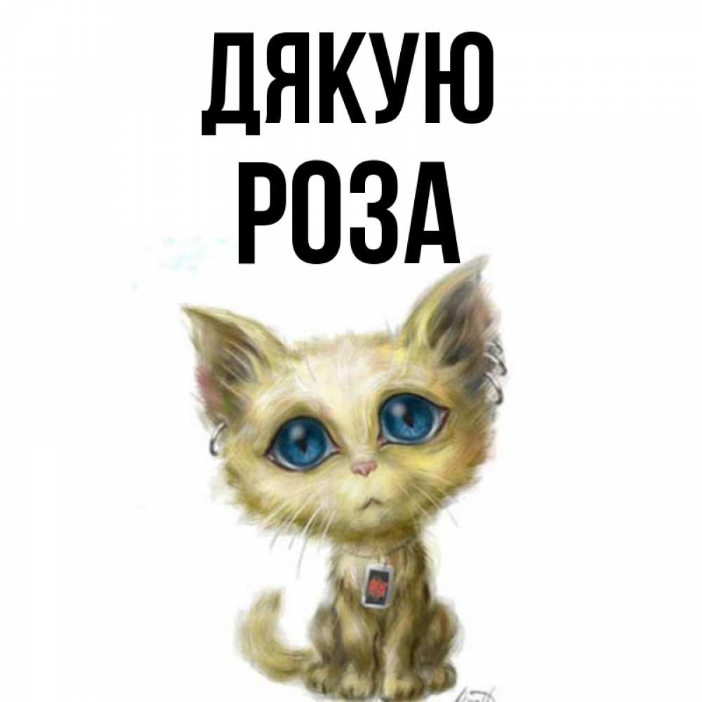 Открытка на каждый день з підписом, Роза Дякую рисованный кот благодарит вас Прикольна листівка з побажанням онлайн скачати безкоштовно 