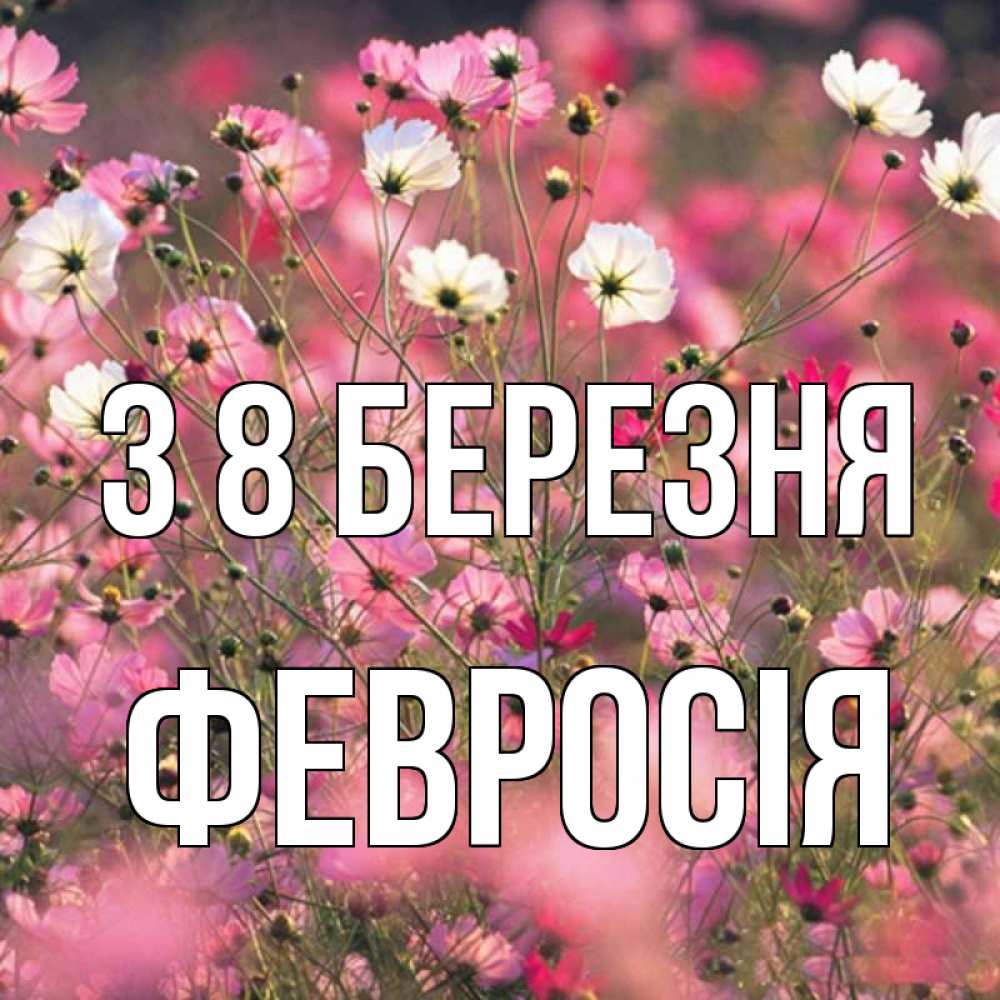 Открытка на каждый день з підписом, Февросія З 8 БЕРЕЗНЯ красиво 1 Прикольна листівка з побажанням онлайн скачати безкоштовно 
