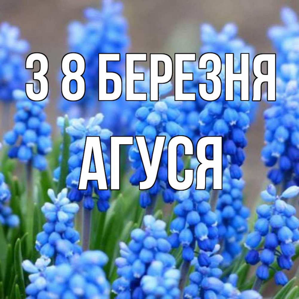 Открытка на каждый день з підписом, Агуся З 8 БЕРЕЗНЯ Поздравительная открытка для женщин с цветами на праздничную дату Прикольна листівка з побажанням онлайн скачати безкоштовно 